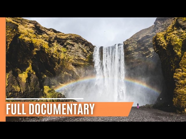 Extreme Iceland - Wildlife’s Toughest Challenges | Full Documentary