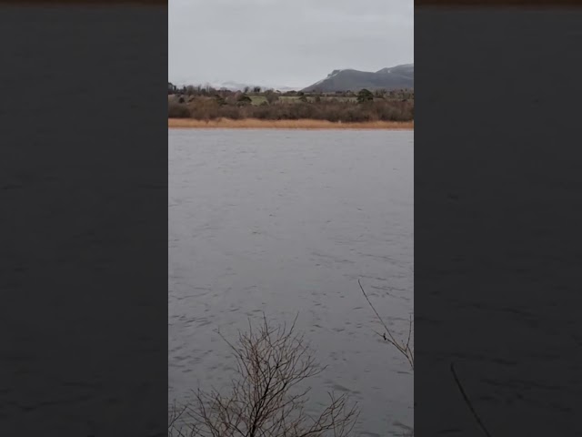 River and cold. Thats Ireland #ireland #asmr #quiettime