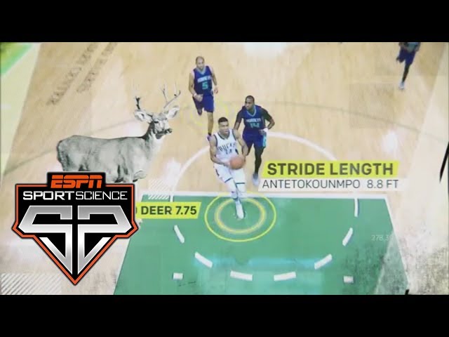 The Science Behind The Greek Freak's Skills | Sport Science | ESPN Archives