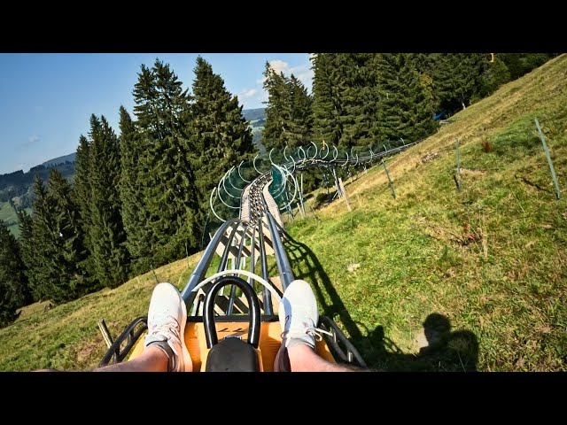 Experience the LONGEST Rodelbahn in Deutschland at Alpsee Coaster Immenstadt!