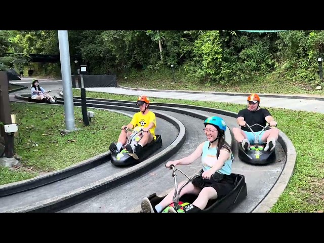 Luge at Singapore