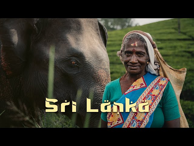 Thinking About Sri Lanka? This Will Convince You!