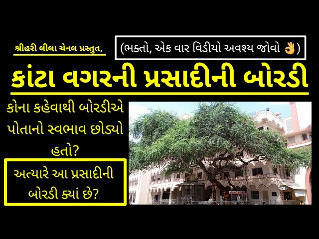 પ્રસાદીની બોરડી swaminarayan chritra - vadtal baps katha |shreehari leela dhun 2021