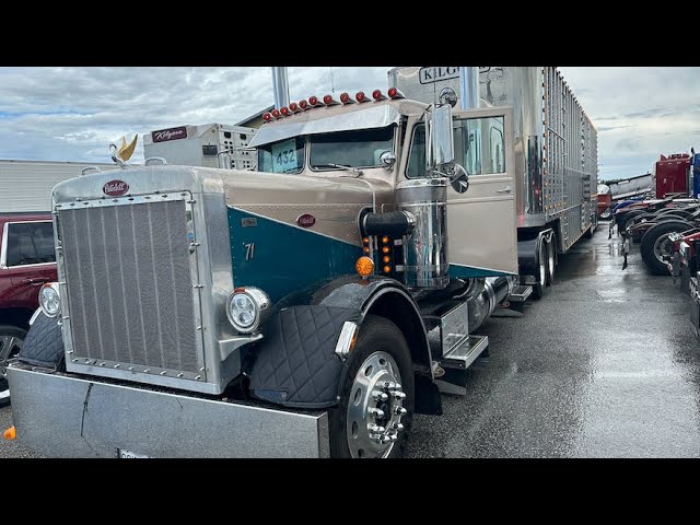 Livestock hauler's '71 Pete 359 EXHD classic, with strong personal history for S&J Kilgore