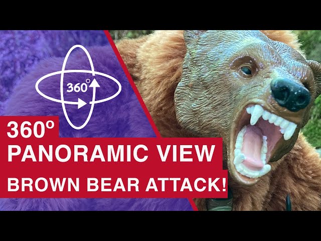 Step into THE VALAVERSE—360º panoramic view—ACTION FORCE—GRIZZLY BEAR "CLOSE CALL" — Sector 1011