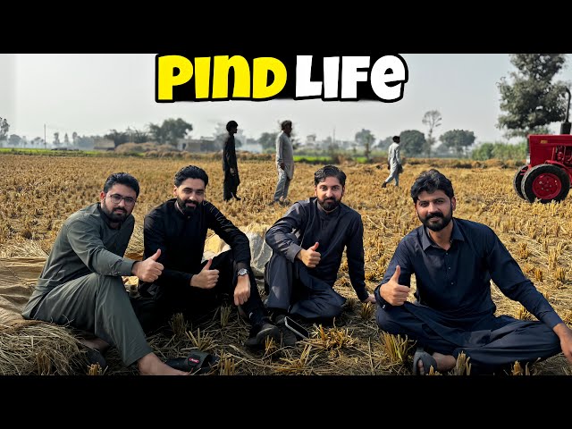 We miss you Brothers | Village life in Pakistan | Bilal Marth |