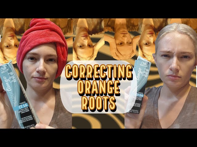 Fixing Orange Roots with Wella Color Tango Toner CT14