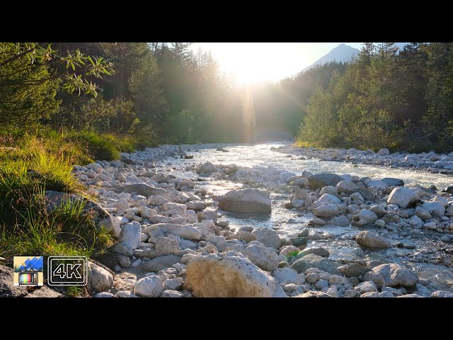 A Relaxing Evening Stream - Sunset Dreaming with Gentle Stream Nature Sounds