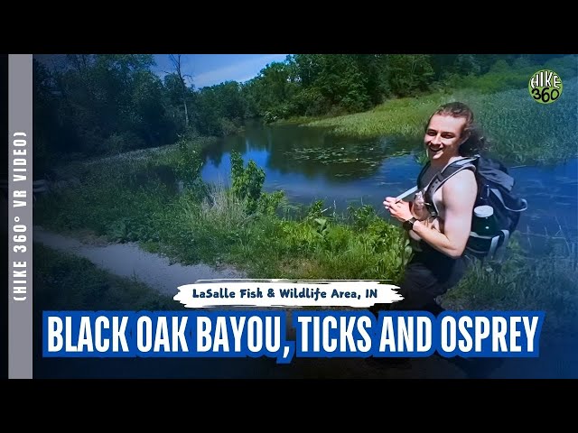 LaSalle Fish & Wildlife Area, IN - Black Oak Bayou, Ticks and Osprey (Hike 360° VR Video)