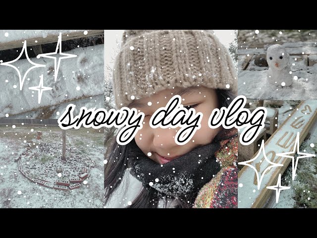 Snowy Day Vlog