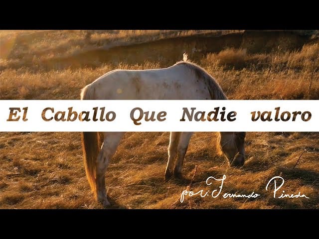 El caballo que nadie supo valorar - Reflexiones para el alma