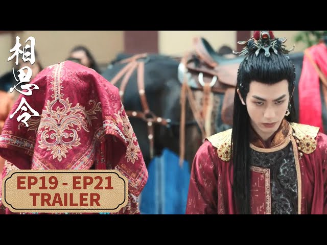 [Everlasting Longing] EP19 - EP21 Trailer Collection | Starring: #Angelababy #SongWeilong