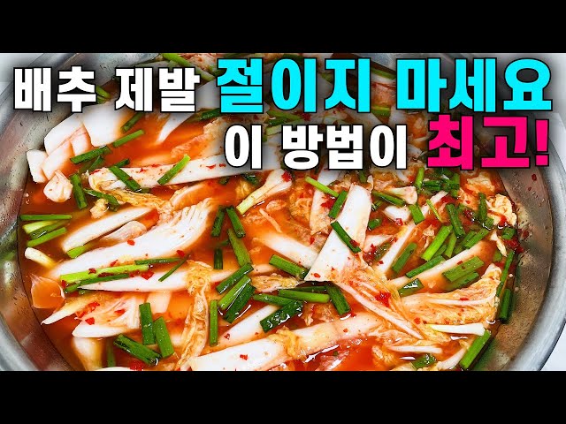 💚태어나서 이렇게 맛있는 알배추물김치는 처음 봅니다💚3번 해 드세요/그동안 먹은 배추가 억울합니다