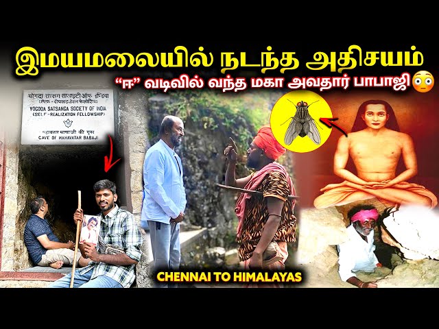 “ஈ” வடிவில் வந்த மகா அவதார் பாபாஜி | Maha Avatar Babaji Cave | Sanjaysamy | Vlog #209