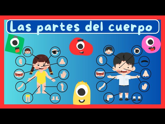 Las partes del cuerpo  -  Canción para conocer las partes del cuerpo