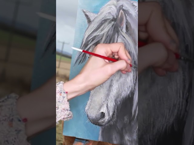 🐴 Painting a Highland Pony – Acrylic on Canvas 2016 | Timelapse 🎨