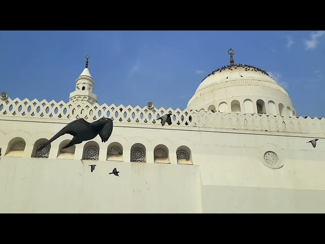 Masjid Qiblatain - مسجد ذو قبلتین  Madina Munawarra ziyarat.