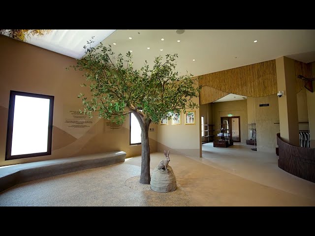 Dubai Desert Conservation Reserve Visitor Centre | Emirates