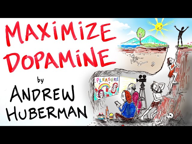 How to Maximize Dopamine & Motivation - Andrew Huberman