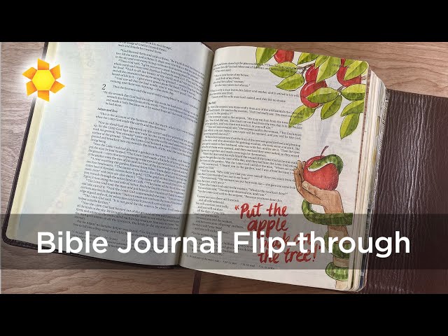 Bible Flip Through (Genesis 1 - 1 Samuel 17 ) plus a PTL!