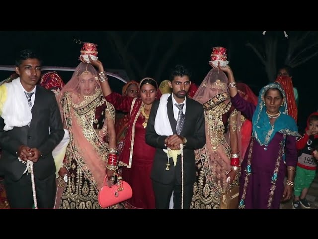 Bishnoi wedding highlights 🥰 #bishnoi #wedding #highlights #poonambishnoi29