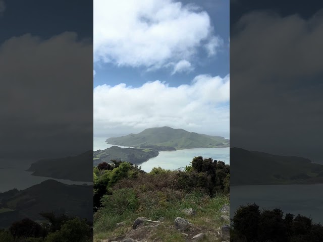 Portobello, NZ, Harbour Cone Track, Panoramic View