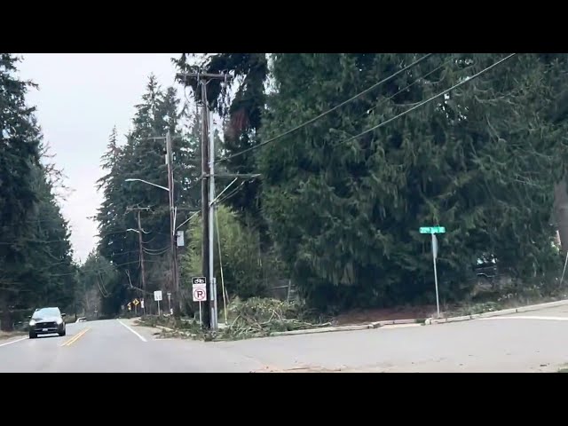 Bomb Cyclone Day 3 Still No Power!