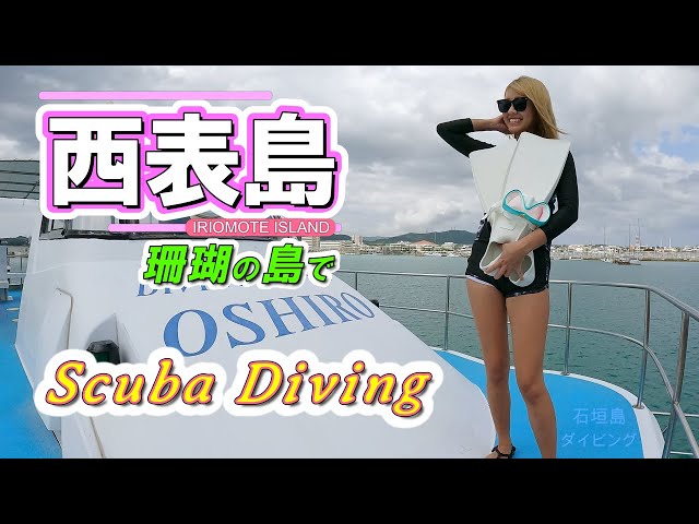 Scuba diving in Iriomote Island. Okinawa,JAPAN. The name of the divepoint is “Barasu East".