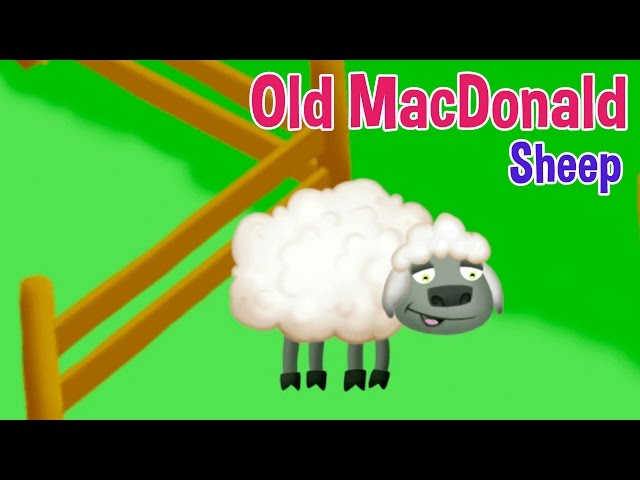 Old Macdonald Had a Farm eieio! (Sheep) Songs for Kids by Oxbridge Baby!