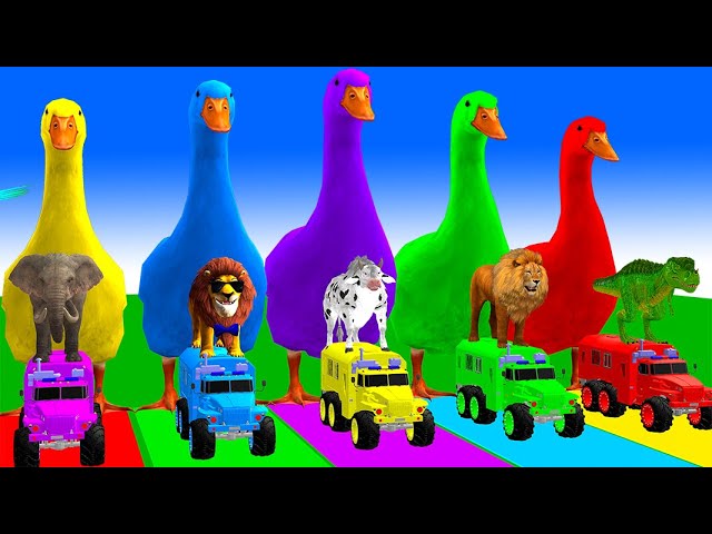 5 Giant Duck Cartoon,Cow,Elephant,Tiger,Lion,Dinosaur,Paint Wild Animals Crossing Fountain Animation