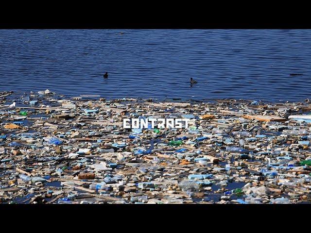 Cleaning up Lebanon's coastlines