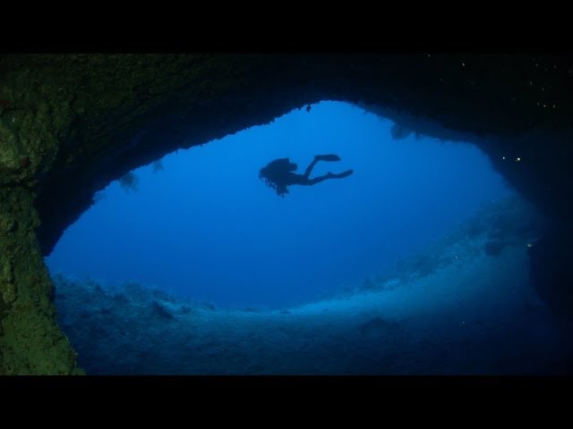 Dakuwaqa's Dream - Scuba Diving in Fiji