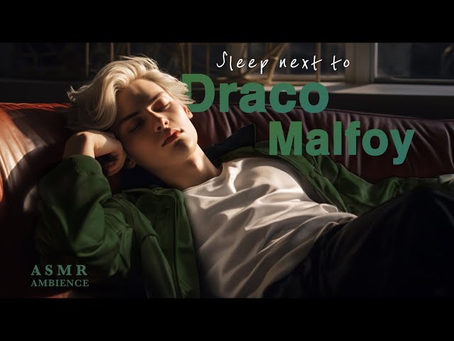 Harry Potter ambience | Sleep next to Draco Malfoy | You encounter him in the Slytherin Common room