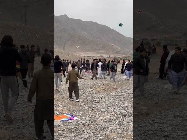 Kite pkr li 😍 #short #kiteflying #youtubeshorts