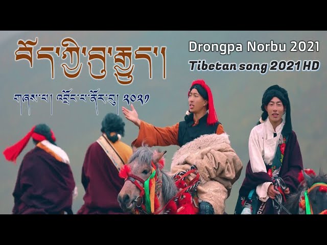 བོད་གཞས་གསར་པ་༢༠༢༡༼བོད་ཀྱི་བུ་རྒྱུད་།༽གཞས་པ། འབྲོང་པ་ནོར་བུ། | Drongpa Norbu 2021 | Tibetan song2021