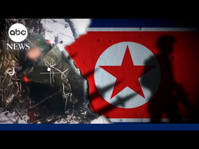 Who are the North Korean soldiers dispatched to Russia?