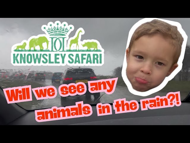 Weekly Vlog- Knowsley Safari Park 🦁 🐯 🦏