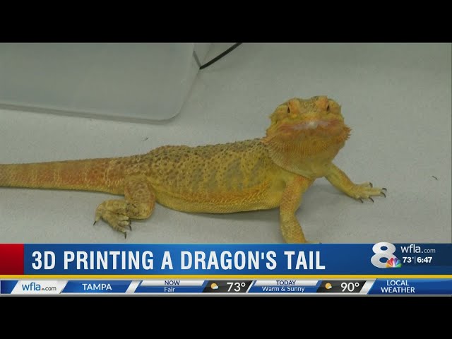 3-D Printing: Dragon gets tail