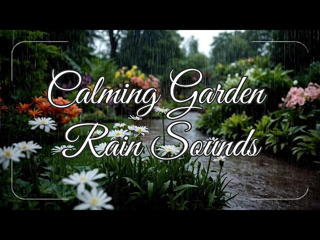 Rain in a Garden ASMR: Soothing Rain Sounds