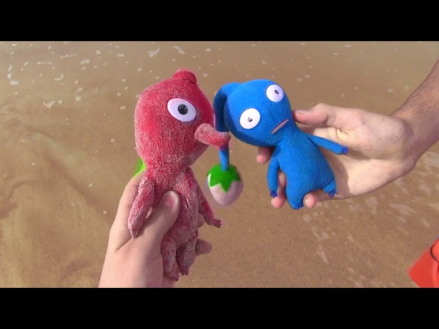 The Pikmin's Day At The Beach