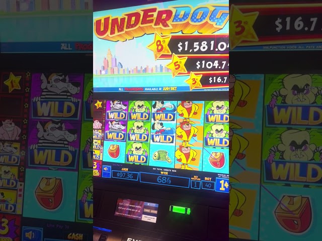 underdog #shorts #gambling #casino