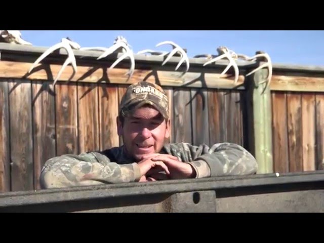 Hired to Hunt #9 1080p HD - Duck Hunting and Goose Hunting in Alberta