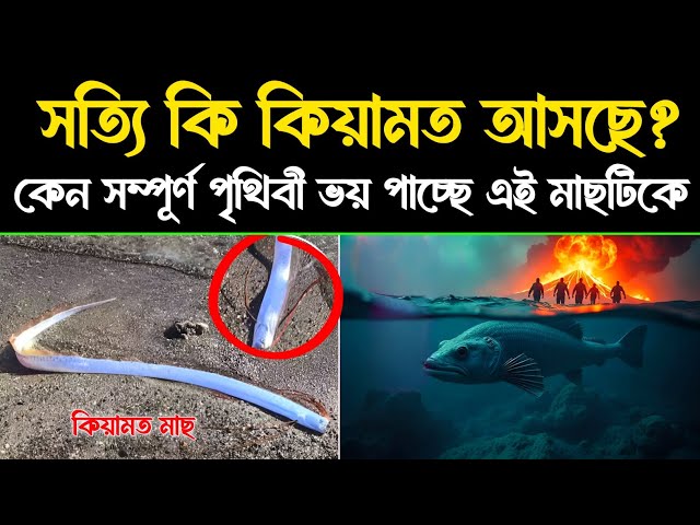 🔥 কেন এই মাছকে সম্পূর্ণ পৃথিবী ভয় পাচ্ছে? Real story of Oarfish mystery | Qiyamat | Islamic - ik