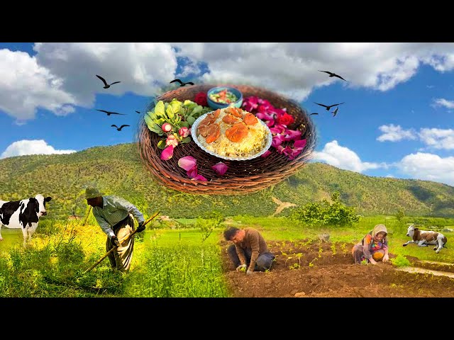 Village Life| Working In The Village Farm | Cooking Pepper Pilaf With Chicken