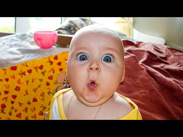 Hilarious Baby Videos That You Can't Miss - Funny Baby Moments | BABY BROS