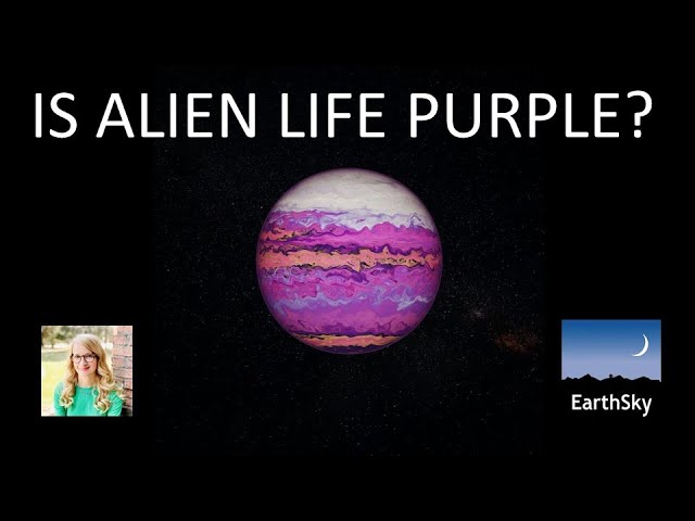 For Alien Life, Purple May Be the New Green