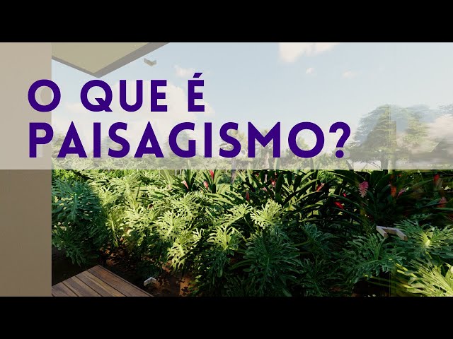 NÃO É VEGETAÇÃO! | O que é Paisagismo? | Arquitetura da Paisagem