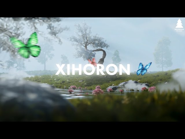 XIHORON - DHRTX & Ankur Kashyap | Wildwood Records (Official Visualizer)