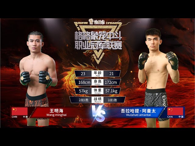 Full Fight: Wang Minghai VS Wulahati Amantai  | Happy Elephant MMA #mma #combatsport #fighter