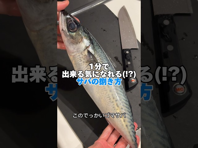 1分でわかるサバの捌き方【今晩できる】 #shorts #魚の捌き方